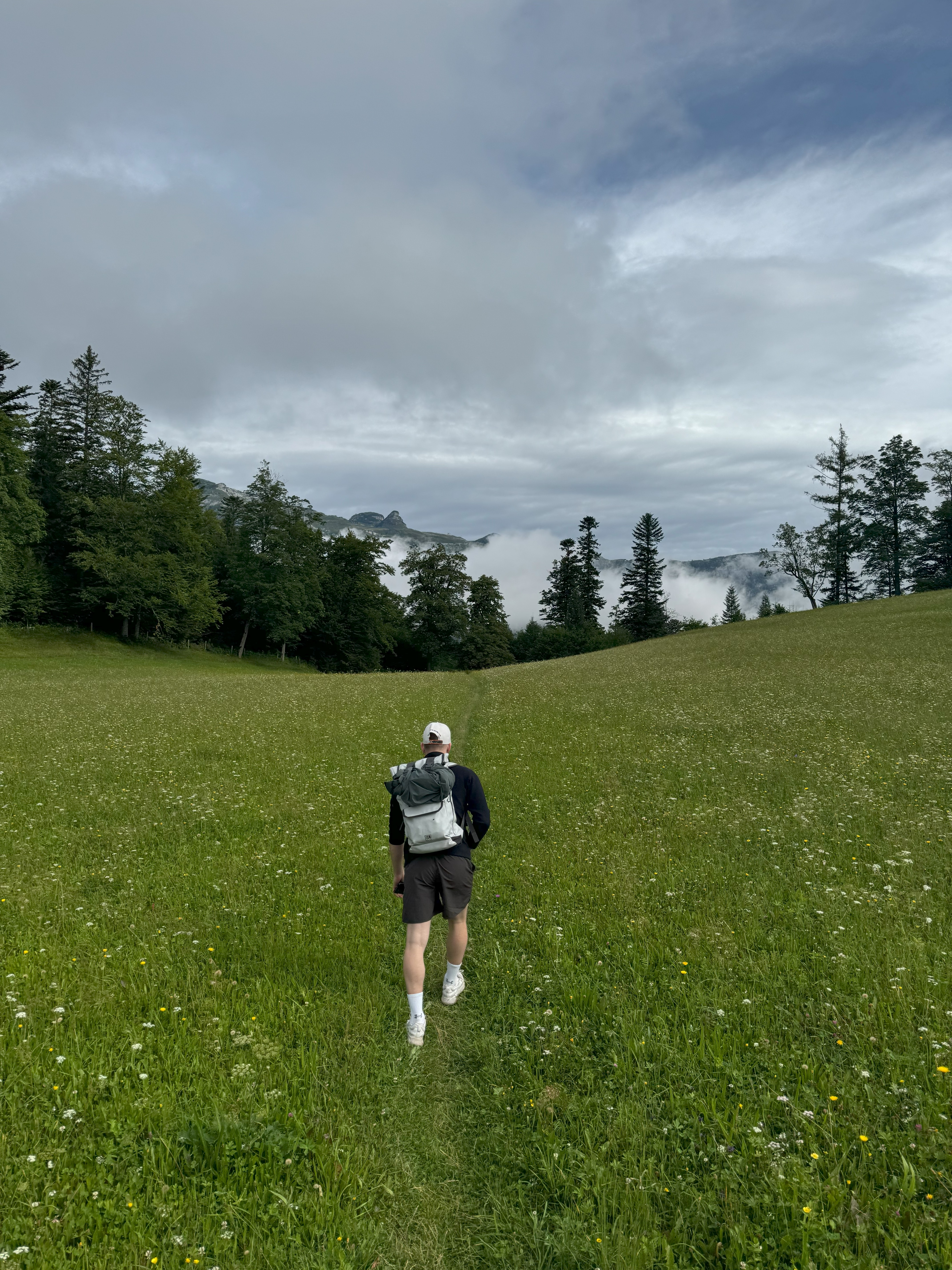 Fotografie z koláže 4