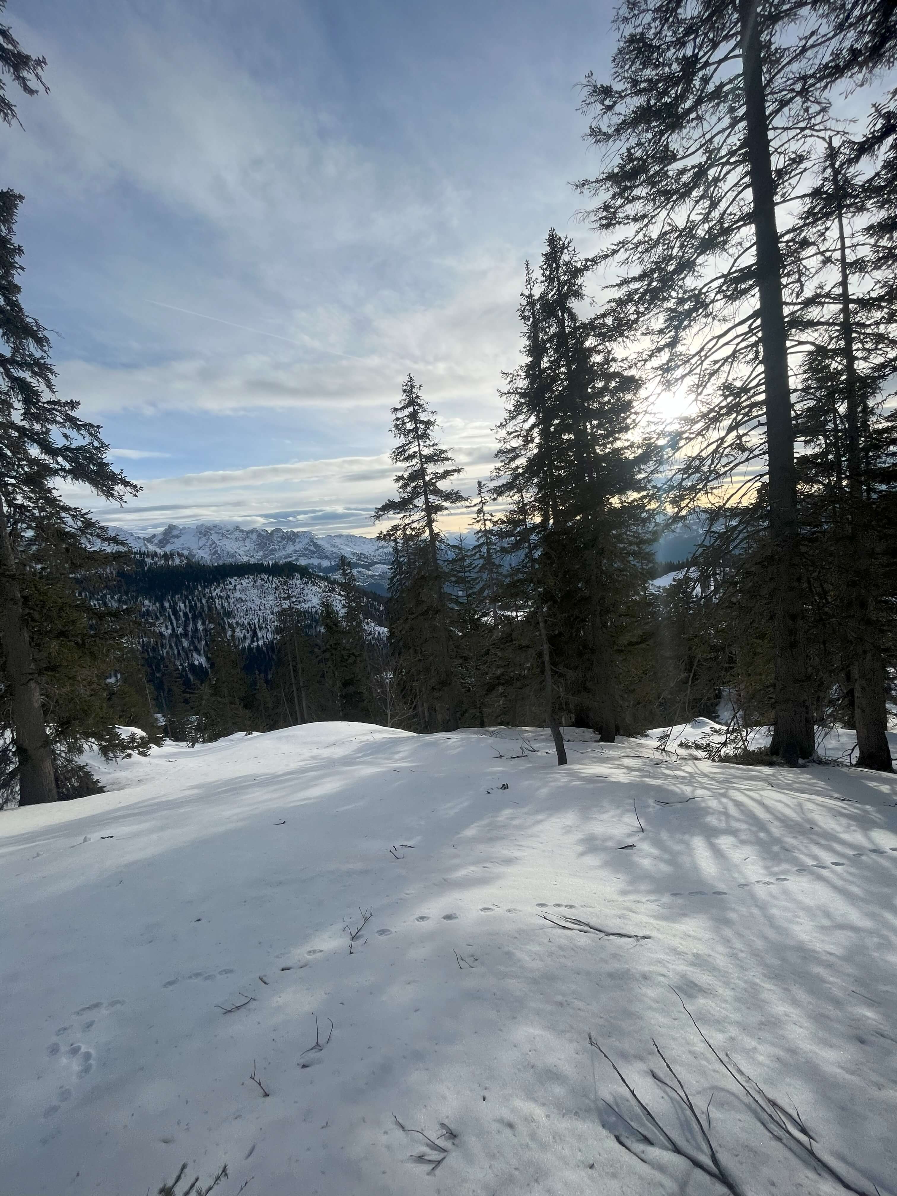 Fotografie z koláže 19